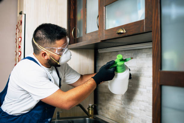 Best Pest Control Near Me  in Brisbane, CA