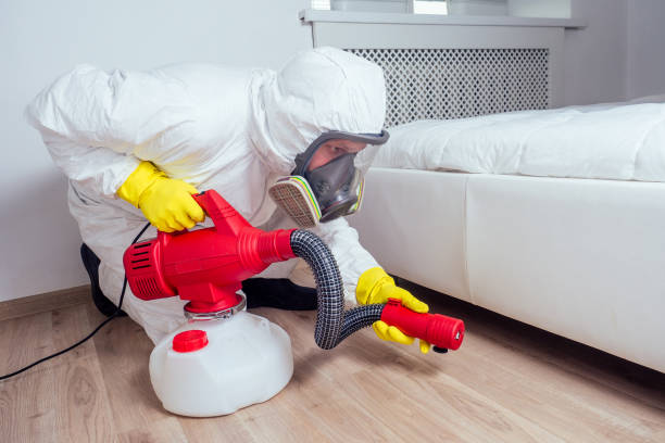 Best Flea Control Services  in Brisbane, CA