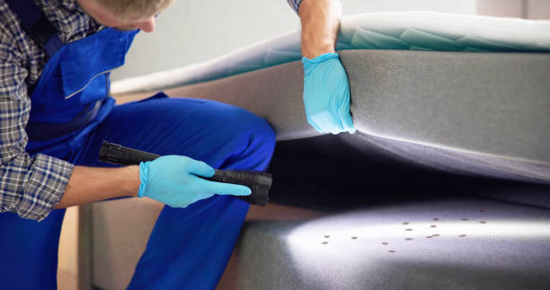 Best Best Pest Control Companies  in Brisbane, CA
