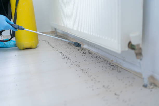 Best Exterminator Services  in Brisbane, CA