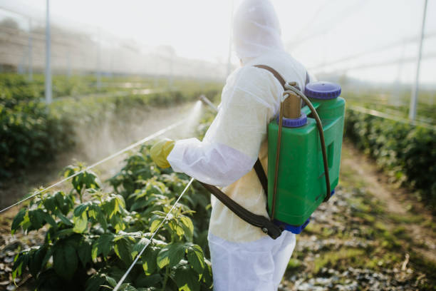 Best Commercial Pest Control Services  in Brisbane, CA